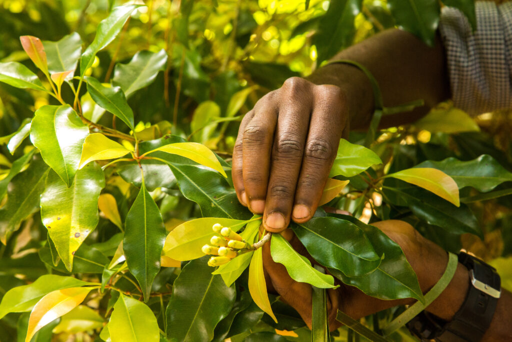 Image from Adobe Stock: Credit: Bob