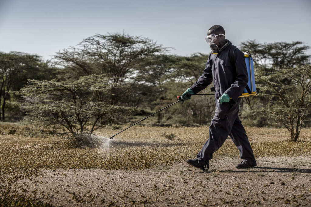 Man wearing protective equipment sprays pesticides