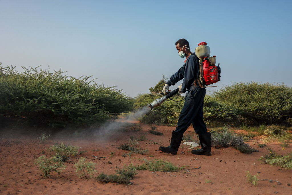 Man spraying plants with pesticides