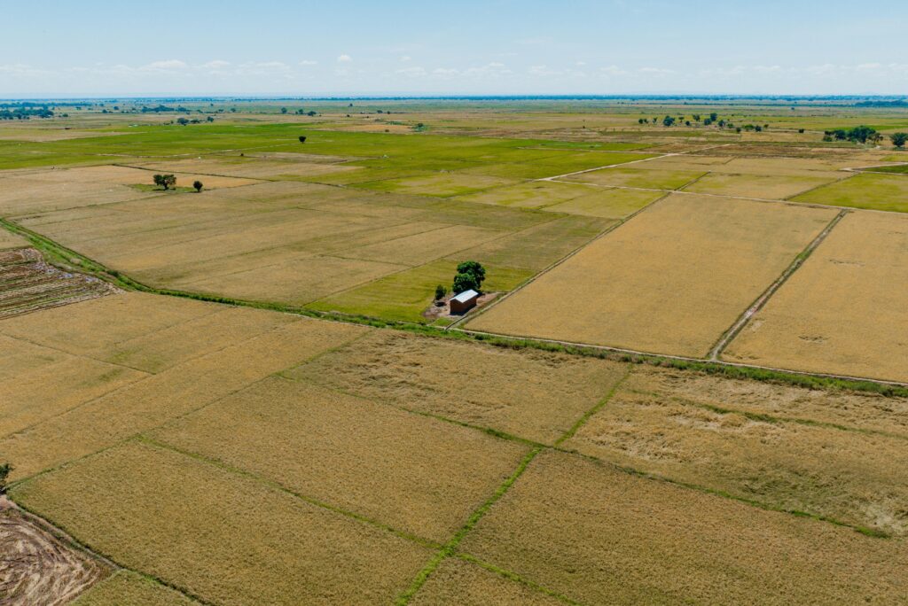 Aerial shot of vast, lush farmland in Tanzania under a clear blue sky.