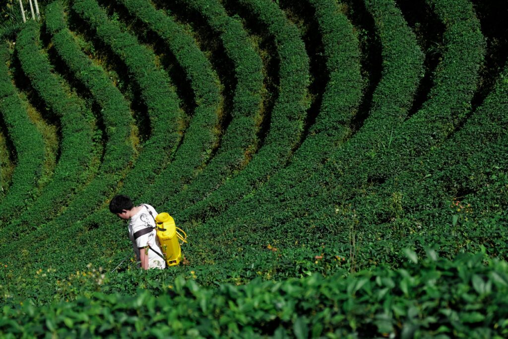 Man spraying pesticides in Taiwan